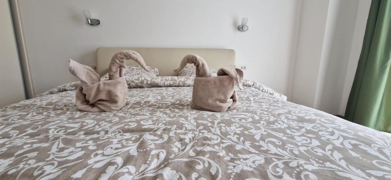 Sahara Sands Loft Private Parking Timișoara Zewnętrze zdjęcie